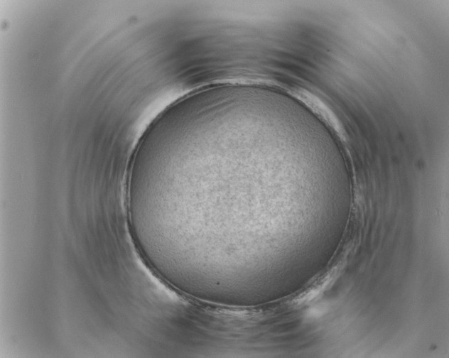 X0000087310855200705041647