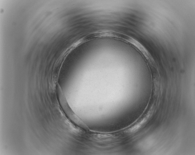 X0000087310857200705041647