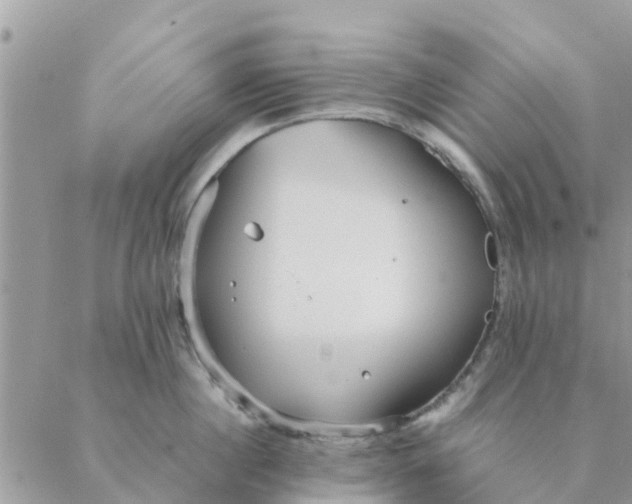 X0000087310860200705041648