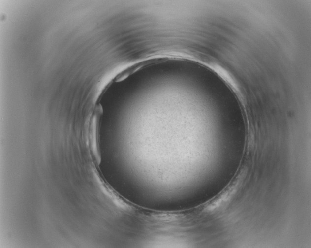 X0000087310862200705041648