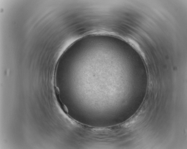 X0000087310863200705041648