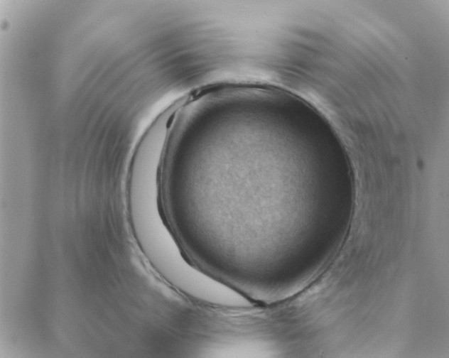 X0000087310864200705041648