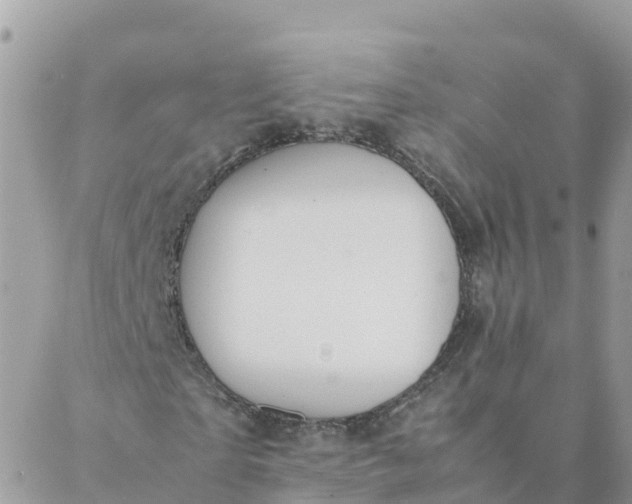 X0000087310865200705041647