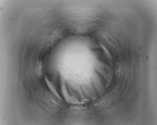 X0000087310866200705041647