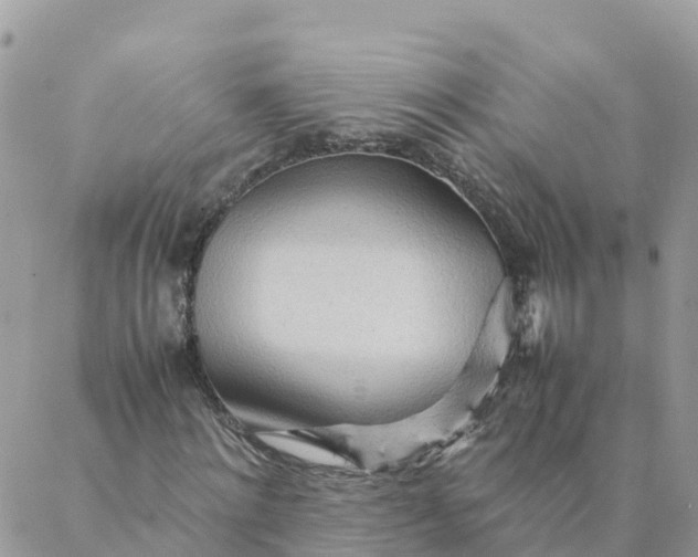 X0000087310868200705041647