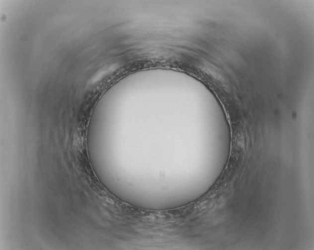 X0000087310869200705041647