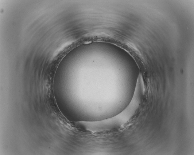 X0000087310872200705041647