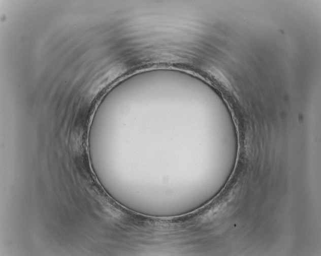 X0000087310873200705041647