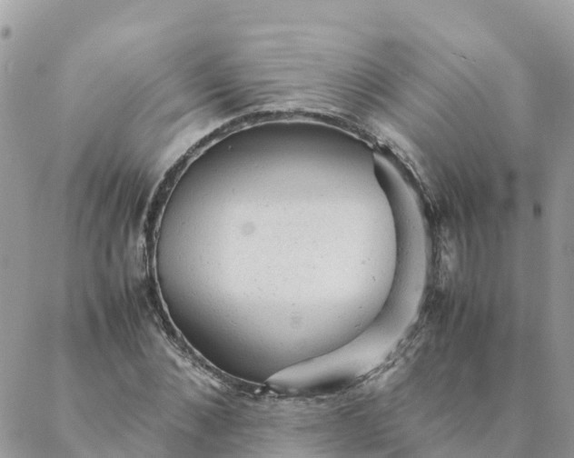 X0000087310876200705041647