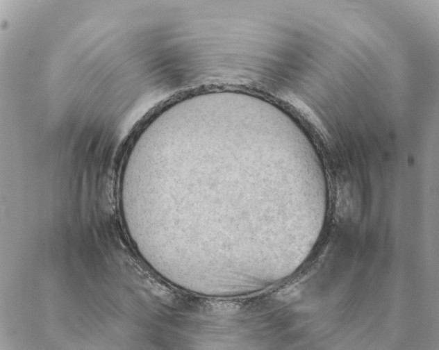 X0000087310878200705041647