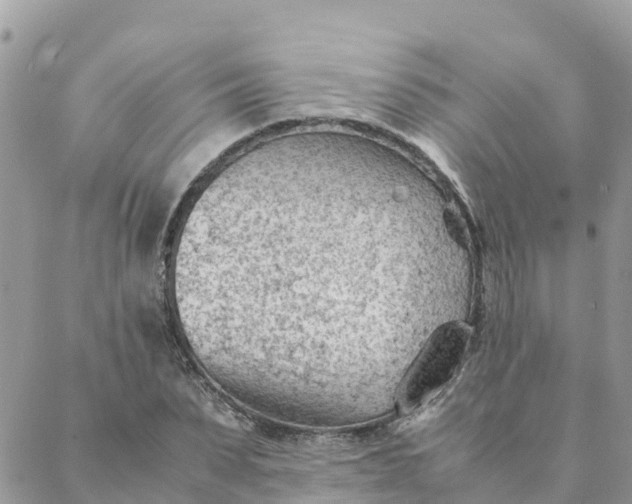 X0000087310879200705041647