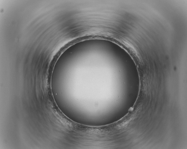 X0000087310880200705041647