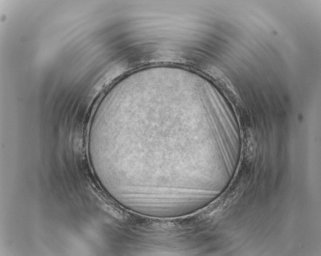 X0000087310882200705041647