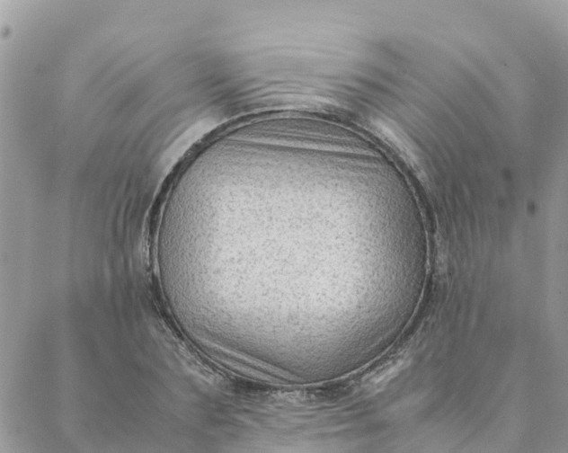 X0000087310883200705041647