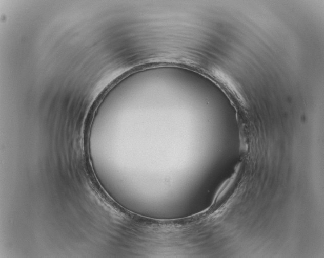 X0000087310884200705041646