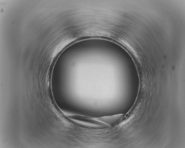 X0000087310885200705041646