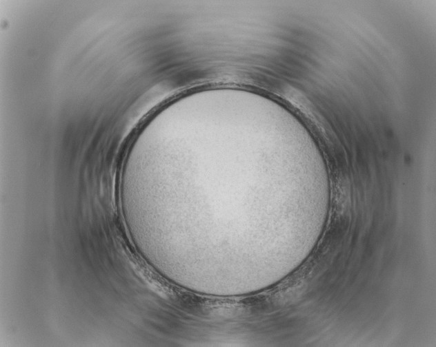 X0000087310886200705041646