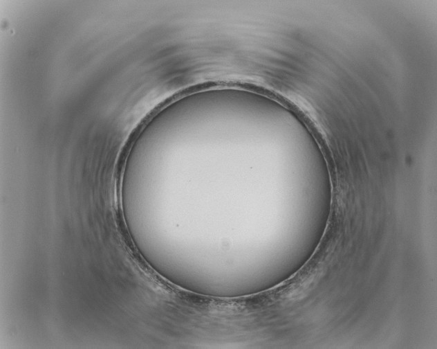 X0000087310887200705041646