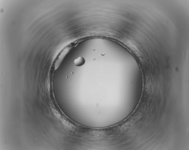 X0000087310888200705041646