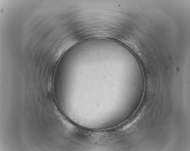 X0000087310889200705041646