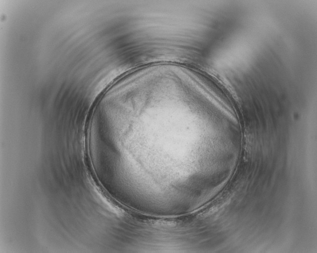 X0000087310890200705041646