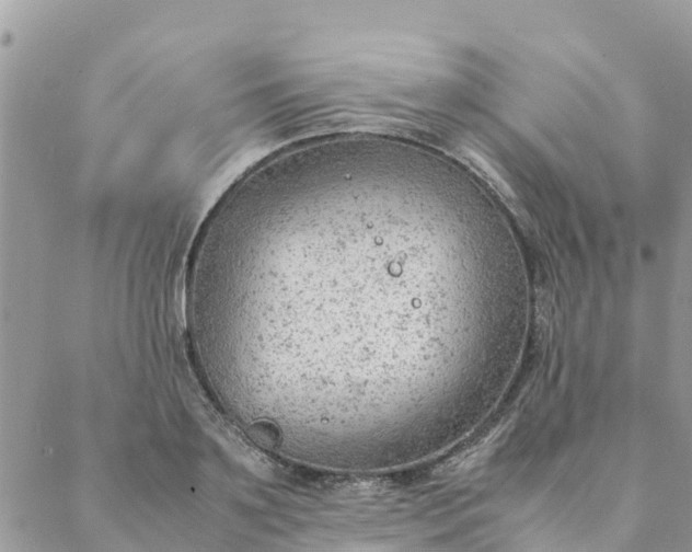 X0000087310891200705041646