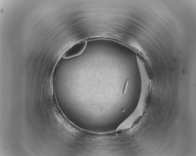 X0000087310892200705041646