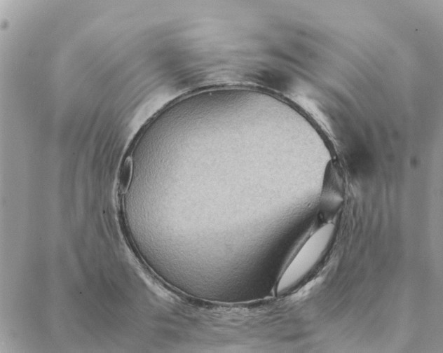 X0000087310893200705041646