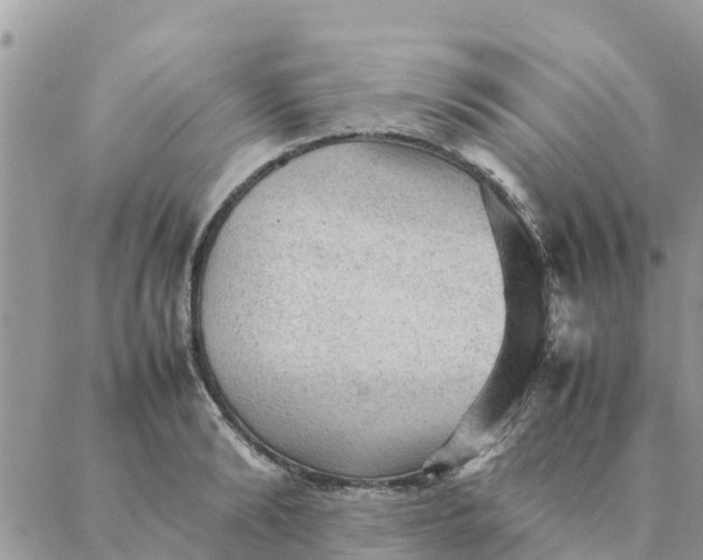 X0000087310894200705041646