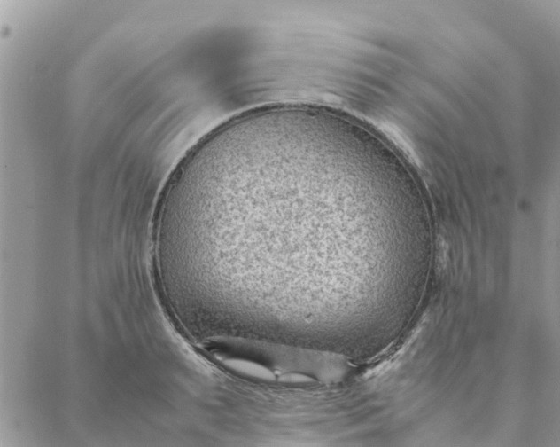 X0000087310895200705041646