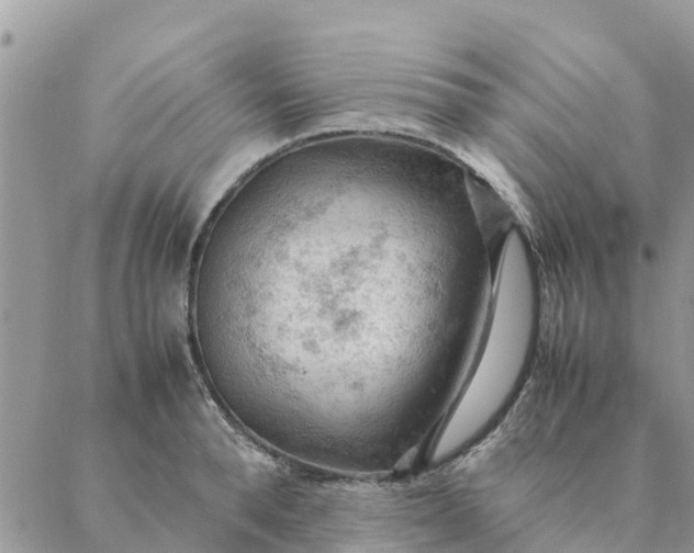 X0000087310896200705041646