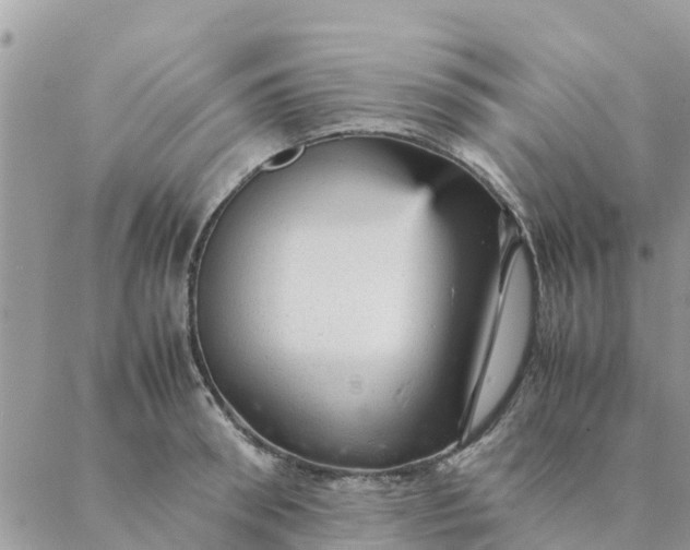 X0000087310898200705041646