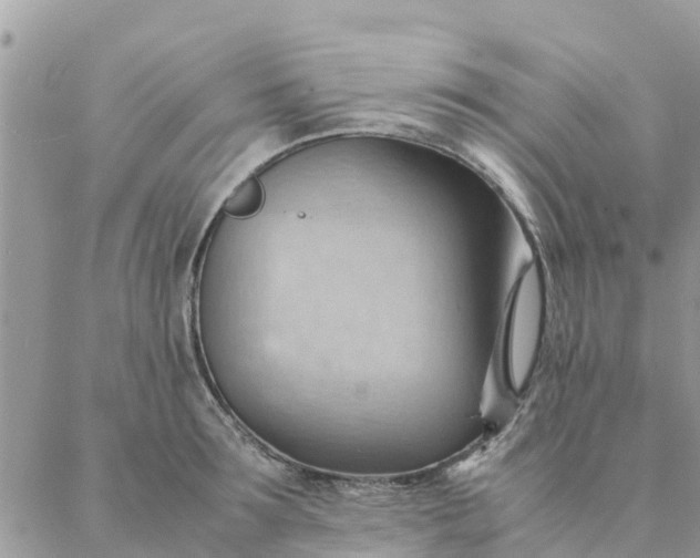 X0000087310899200705041646