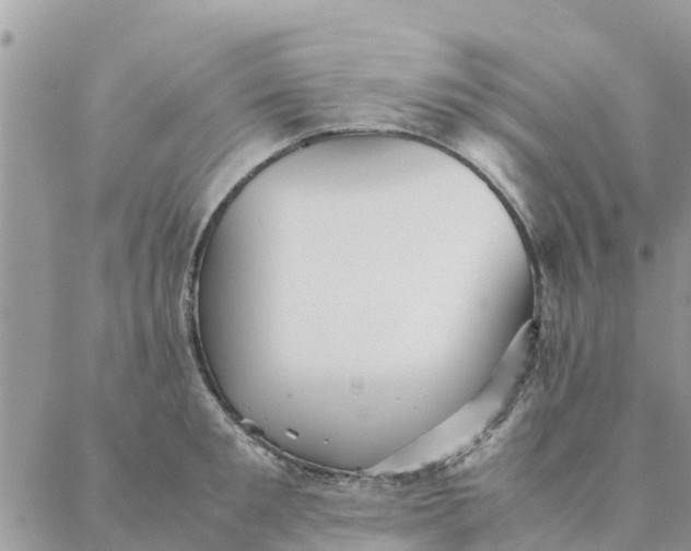 X0000087310901200705041646