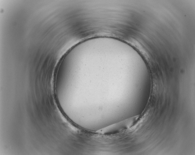 X0000087310902200705041646