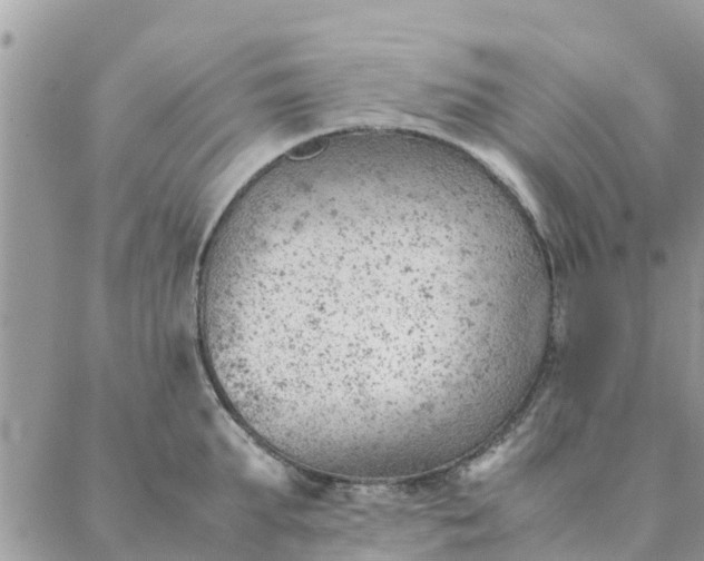 X0000087310903200705041646