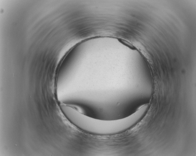 X0000087310904200705041646