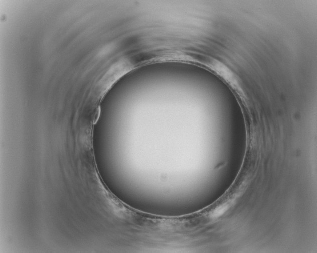 X0000087310905200705041646