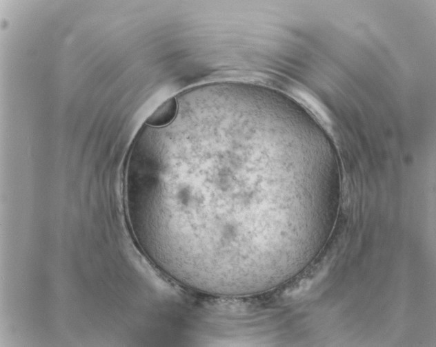 X0000087310907200705041646