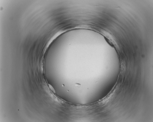 X0000087310908200705041646