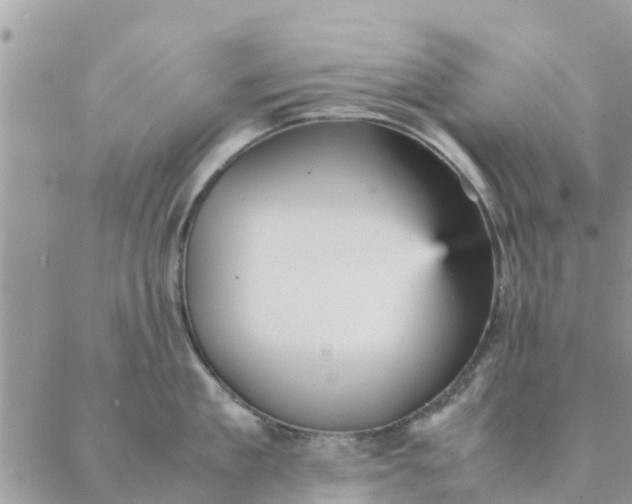 X0000087310909200705041646