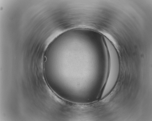 X0000087310910200705041646