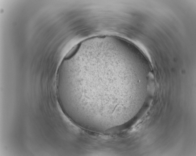 X0000087310911200705041646