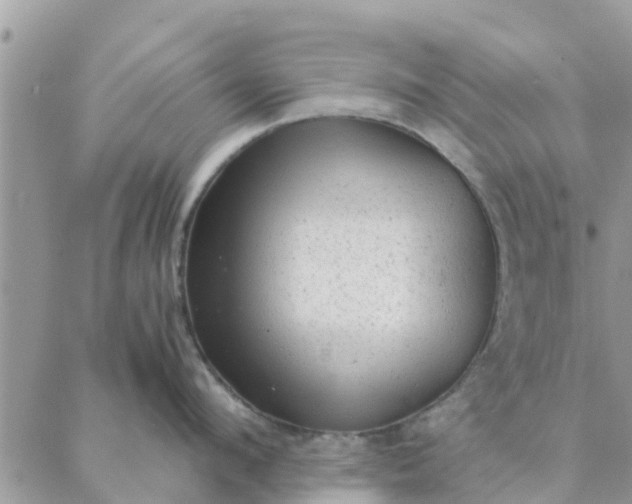 X0000087310912200705041646