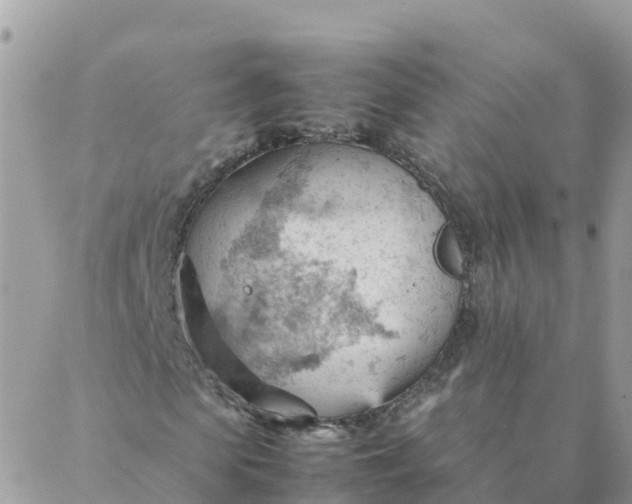 X0000087310913200705041645