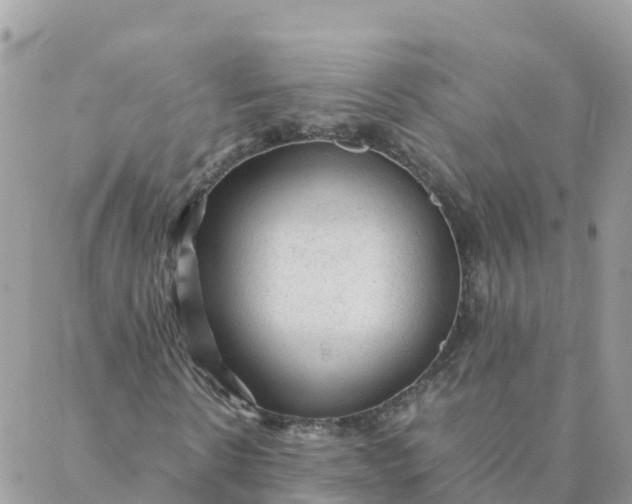 X0000087310914200705041645