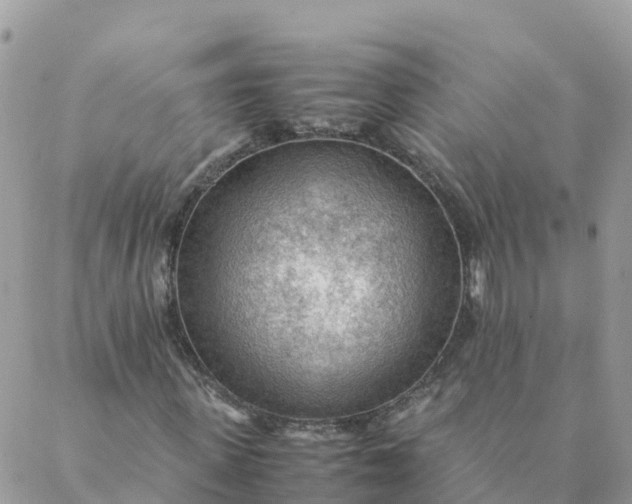 X0000087310915200705041645