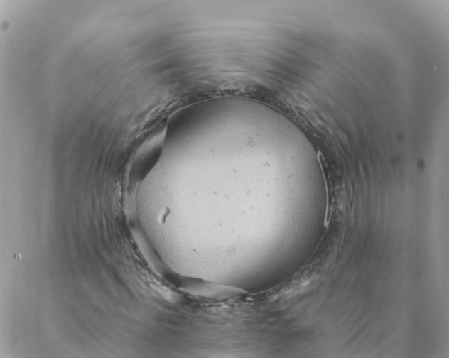 X0000087310916200705041645