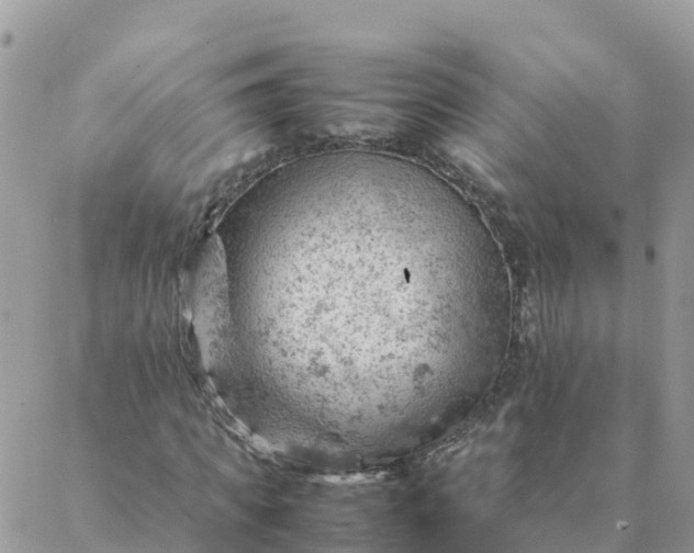 X0000087310917200705041645