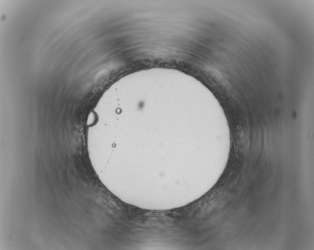 X0000087310918200705041645